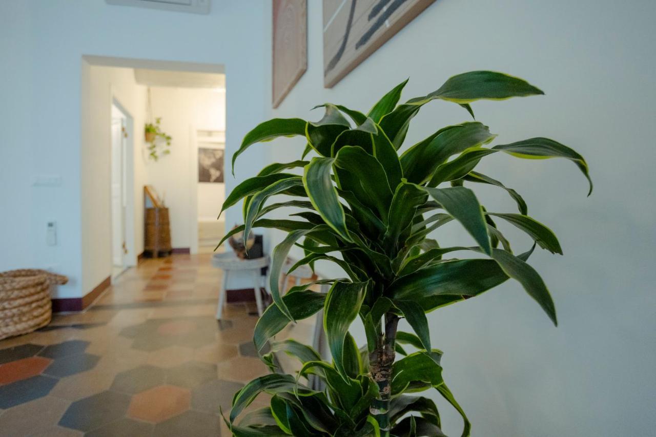 Apartamento Domus Superior Navona - Pantheon Roma Exterior foto